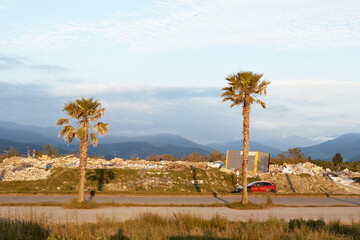 Fototapeta premium Desert landscape with two palm trees beside a road, distant mountains, and a red car. Sunny scene conveying travel, outdoor exploration, and nature