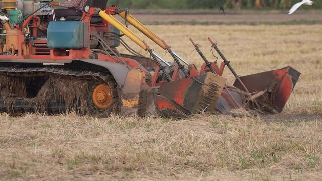 Harvester machine field agriculture crop bird farm tractor rural harvest showing old farm equipment working dry rice farmland cutting grain near white bird over stubble with crawler track