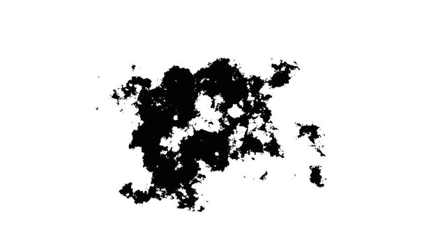 Trinidad and Tobago animation. Shape of the country with pulsating colored dots. Large size square blocks. Digital style map on white background. Abstract 4K  video.