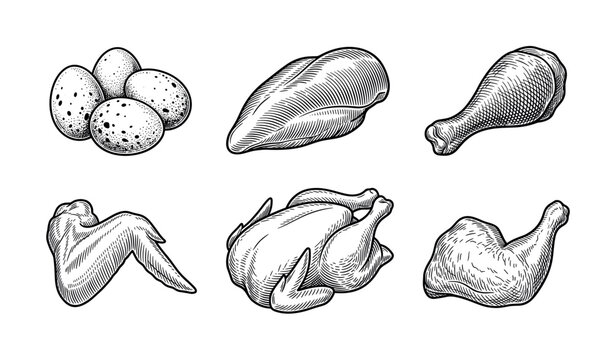 Chicken meat and egg collection featuring drumsticks, wings, breasts, thighs and whole poultry cuts