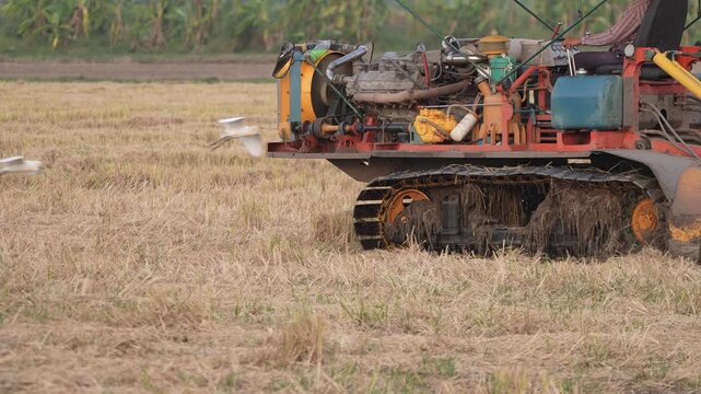 Agriculture tractor field crawler machine moving through rural crop harvest land with straw stubble, exposed engine farm vehicle crossing dry farmland after rice cutting