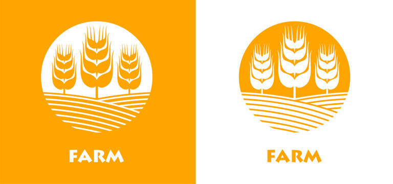 Wheat farm field icon with cereal grains ears or rice, oat and barley spikelets symbol. Wheat ripe on field icon for agriculture product or bread bakery emblem and flour or organic cereal oatmeal food