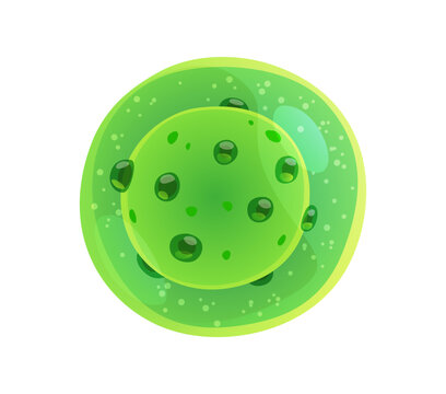 Ameba germ or bacteria bacillus and protozoa or protista microorganism cartoon icon. Amoeba or green parasite virus and microbe of microbiota, bacterium pathogen micro organism or protist microbiome
