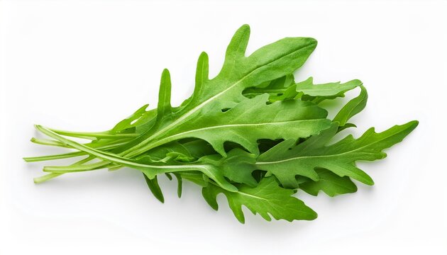 Fresh Green Arugula Leaves Isolated On White Background Top View Flat Lay Pile Of Ruccola
