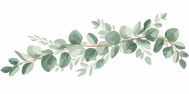 Eucalyptus branch illustration a watercolor style depiction with muted green foliage leaves painting botanical plant