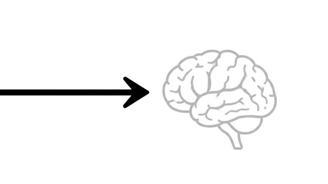 Simple Arrow Pointing Towards a Stylized Brain Illustration.