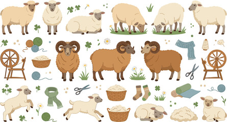 Fototapeta premium Cute sheep and ram vector illustrations set with spinning wheel yarn baskets lambs clover flowers and knitting elements on white background