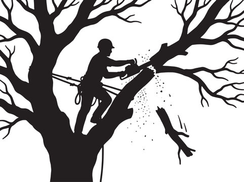 Silhouette of professional arborist climbing high tree and cutting branch with chainsaw while using safety ropes and harness for maintenance work.