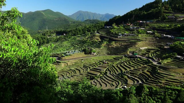 丸山千枚田