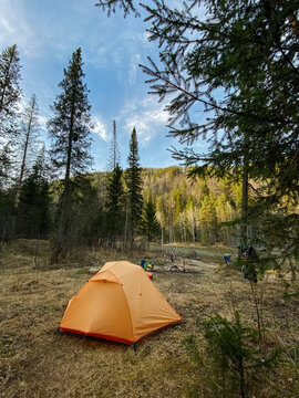 Orange camping tent pitched in forest clearing beneath blue sky with tall pines campers gear scattered around campfire circle along hiking trail leading to meadow and sunlit mountain backdrop during