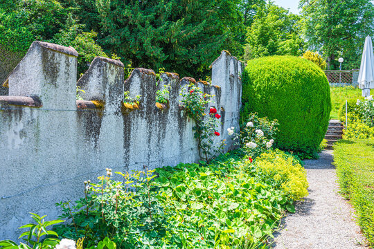 Garden scene with green bushes and flowers in a well-maintained landscape surrounded by a stone wall on a sunny day