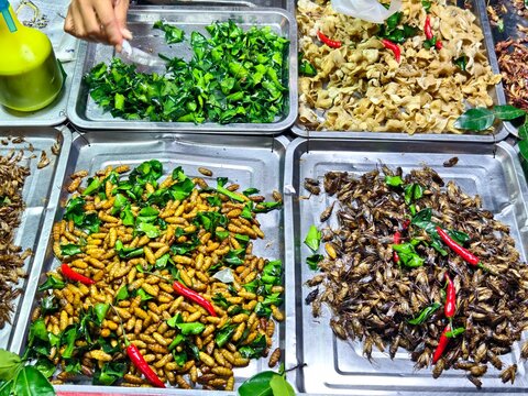 A top-view of various fried insects like silkworm pupae and crickets in metal trays. Popular Thai exotic street food stall representing alternative protein and local Asian culinary culture.