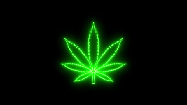 Neon Cannabis Leaf Animation Green Drug Concept Alpha Background 4K
