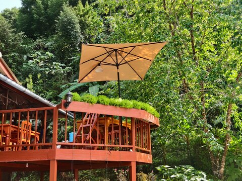 A cozy wooden terrace balcony with a large outdoor umbrella and dining set located in a lush green tropical forest. Perfect for eco-resort, travel, cafe, and nature holiday concepts.