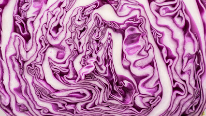 Obraz premium Full-screen image of a sliced section of purple cabbage. texture of sliced section of red cabbage