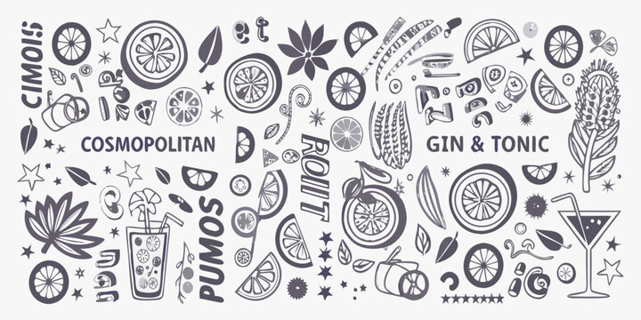 Cocktail and citrus fruit hand drawn vector illustration with beverage names and decorative elements lemon