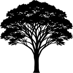 Obraz premium African Safari Acacia Tree Silhouette Vector - Isolated Savanna Umbrella Tree Icon on White Background
