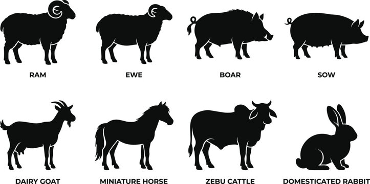 Farm animals black silhouettes set including ram ewe boar sow dairy goat miniature horse zebu cattle and domesticated rabbit