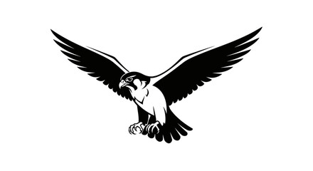 Fototapeta premium Powerful hawk bird of prey in flight with wide wings spread