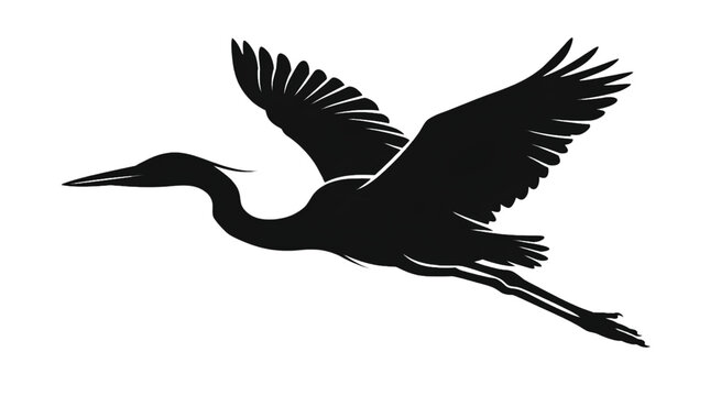 Flying Heron or Egret Bird Silhouette Vector Great Blue Heron in Flight