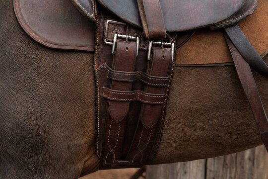 A finely crafted leather saddle girth fastened to a saddle, detailed texture, rustic setting.