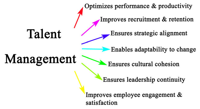  Seven Functions of Talent Management
