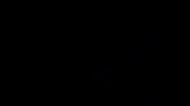 Animation orange leaf frame on a black background.
