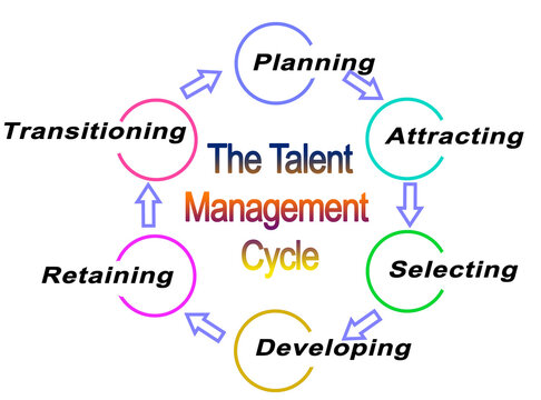 Six Components of  Talent Management Cycle