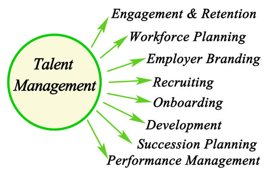Eight Goals of Talent Management