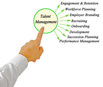 Eight Goals of Talent Management