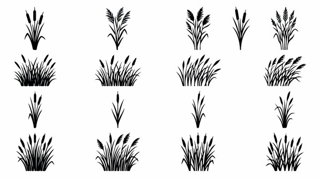 Black cattail silhouette collection, 14 reed and bulrush plant icons, marsh grass and swamp vegetation vector set for landscape design isolated PNG with Transparent Background