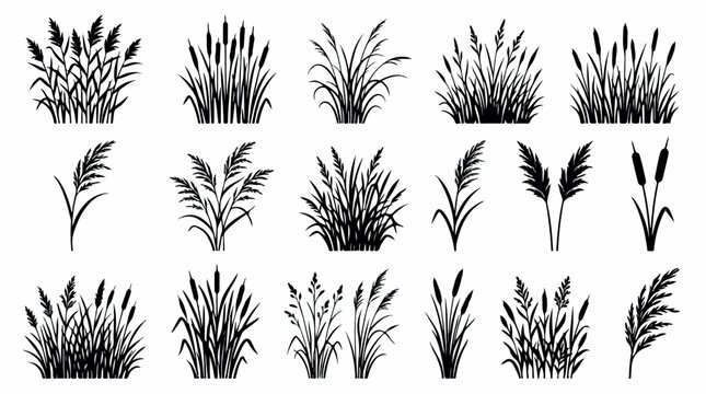 Black reed silhouette collection, 18 marsh grass and cattail vector elements, wild pond vegetation icons for landscape design and nature graphics isolated PNG with Transparent Background