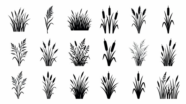 Black reed and cattail silhouettes, set of 18 marsh grass vector icons, botanical bulrush and sedge plant elements for landscape design isolated PNG with Transparent Background