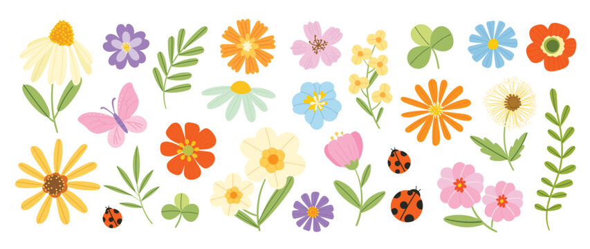 Spring flower vector elements set with ladybugs. Colorful flat floral clipart with wildflowers, leaves and cute ladybug accents for cards, stickers and seasonal decoration.