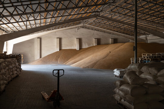 A vast indoor agricultural warehouse holds large quantities of stored grain in open piles on the floor. Numerous white sacks filled with produce are stacked on wooden pallets, with a manual pallet jac