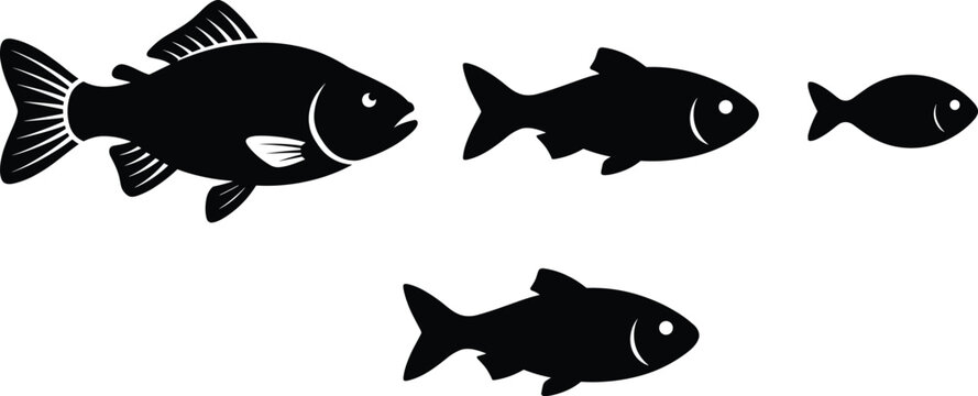 Collection of black fish silhouettes and detailed icons showing lifecycle growth stages isolated on white background vector illustration