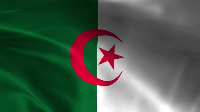 Algeria flag 4k animation loop Algerian national symbol background fabric texture footage loopable wind motion graphics banner element cloth waving ripple north africa stock video