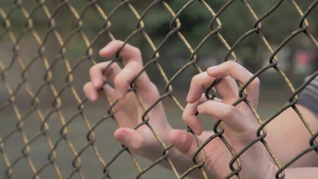 Close-up view of young man's hands shaking metal mesh at fenced area. Helpless man shaking a metal fence trying to escape.