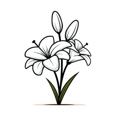 Obraz premium Cute Lily Illustration Nature Plant Vector