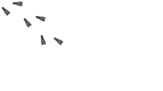 Swimming fins footprint animation.  from left to right. Walk loop animation, graphic motion. Human swimming fins  footage video  on white background.  Text space. Animated Video