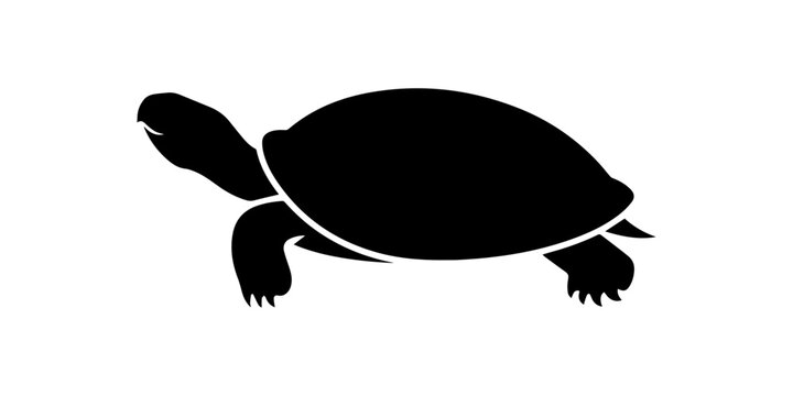 Sea turtle silhouette vector collection featuring marine wildlife icons in geometric, tribal and decorative styles, ocean animal illustrations isolated on white background for logo design