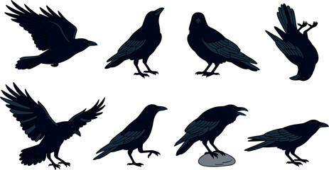 Obraz premium Black Crow and Raven Bird Silhouette Vector Set Featuring Various Flying Standing and Perching Poses for Halloween Gothic and Nature Graphic Designs