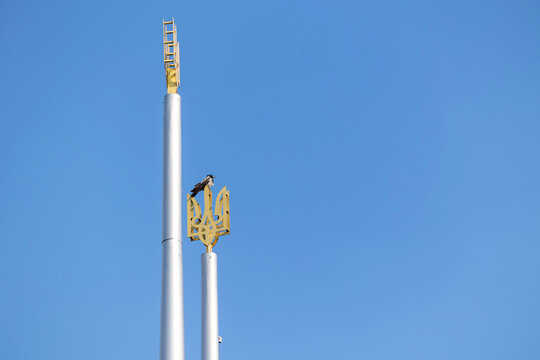A black crow resting gracefully on a golden trident tryzub symbol which is the national coat of arms of Ukraine mounted at the very top of a tall metal flagpole against a clear blue sky