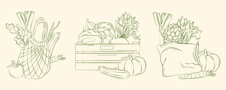 Hand-drawn vegetables compositions with wooden box, string and paper bag for grocery, seasonal packaging, farmers market