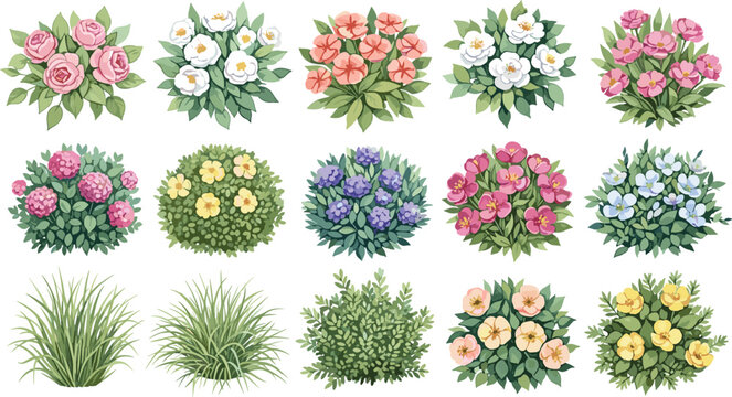 Vector illustration set of colorful garden flower bushes green shrubs and tufts of grass isolated on white background for landscape design elements