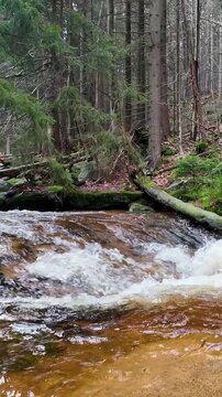 Waterfall on a rushing river in a mountain forest among the rocks in the gorge, rapid flow of water boiling and foaming, water splashes in slow motion Vertical view.