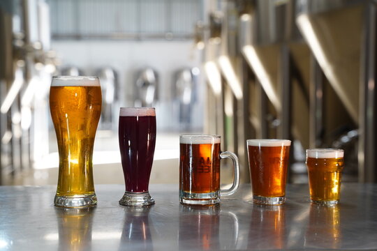 Cerveja Artesanal Estilos Cervejaria Fabrica Chopp Torneira