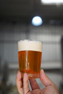 Cerveja Artesanal Estilos Cervejaria Fabrica Chopp Torneira