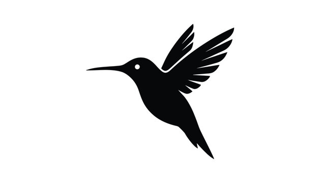 Black hummingbird flying with spread wings