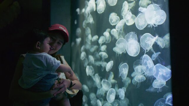 4K Video of an Asian mother holding her baby boy and looking at moon jellyfish in an aquarium.